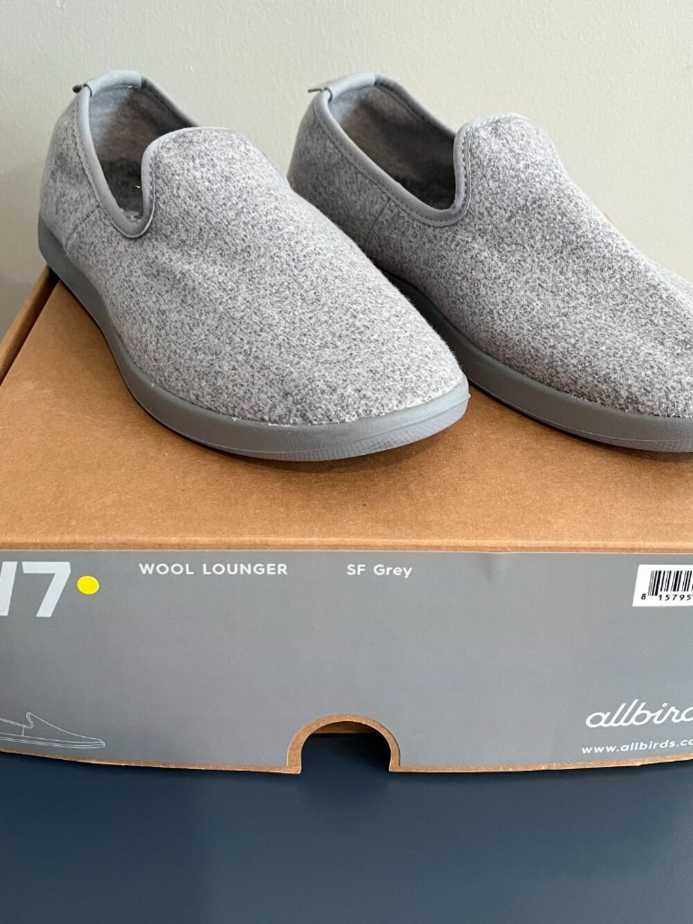 Allbirds Wool Lounger